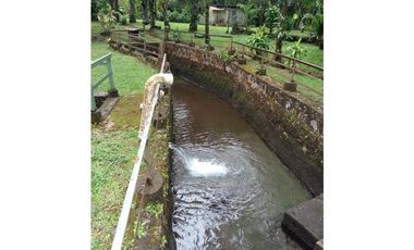 Vendo Linda finca en Cuesta de Piedra Volcan Chiriqui