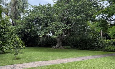 Ideal Plaza Comercial