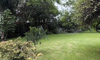 Ideal Plaza Comercial