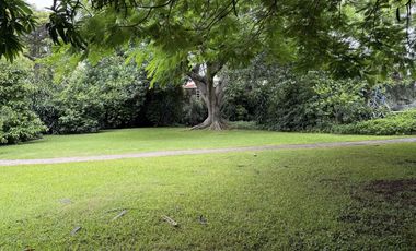 Ideal Plaza Comercial