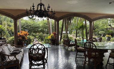 Ideal Plaza Comercial