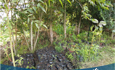 Vendo Hermosa Propiedad Campestre con 3 Construcciones