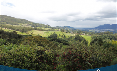 Vendo Hermosa Propiedad Campestre con 3 Construcciones