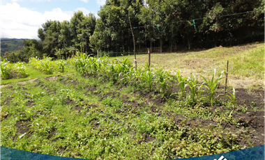 Vendo Hermosa Propiedad Campestre con 3 Construcciones