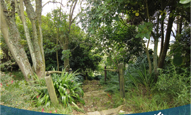 Vendo Hermosa Propiedad Campestre con 3 Construcciones