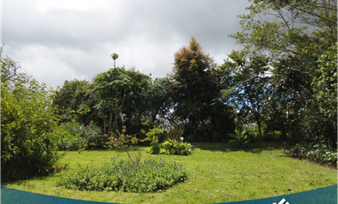 Vendo Hermosa Propiedad Campestre con 3 Construcciones