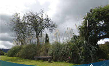 Vendo Hermosa Propiedad Campestre con 3 Construcciones