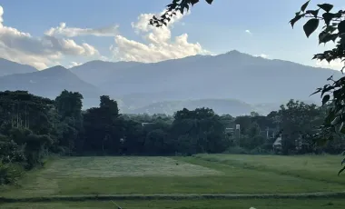 Land for sale in Rim Tai, Chiang Mai