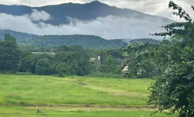 Land for sale in Rim Tai, Chiang Mai