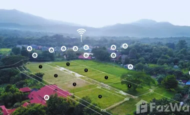Land for sale in Rim Tai, Chiang Mai