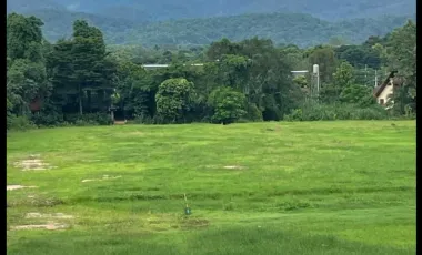 Land for sale in Rim Tai, Chiang Mai