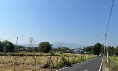 Land for sale in Huai Sai, Chiang Mai