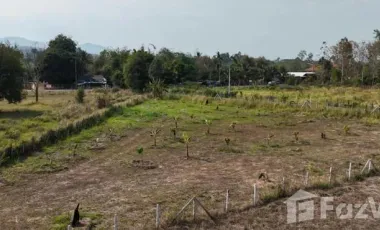 Land for sale in Huai Sai, Chiang Mai
