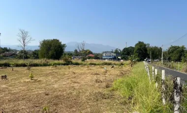 Land for sale in Huai Sai, Chiang Mai