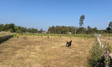 Land for sale in Huai Sai, Chiang Mai