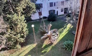Departamento en alquiler en Haedo Centro Norte