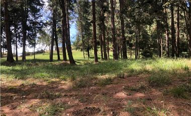 Venta de Lote en El Alto de las Palmas Variante Aeropuerto