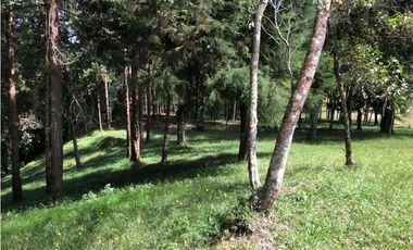 Venta de Lote en El Alto de las Palmas Variante Aeropuerto