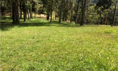 Venta de Lote en El Alto de las Palmas Variante Aeropuerto