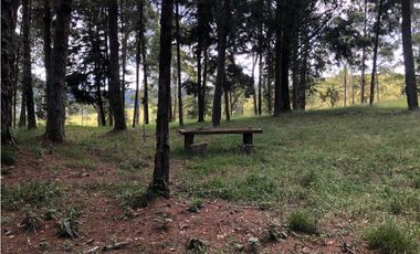 Venta de Lote en El Alto de las Palmas Variante Aeropuerto