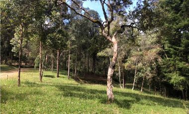 Venta de Lote en El Alto de las Palmas Variante Aeropuerto