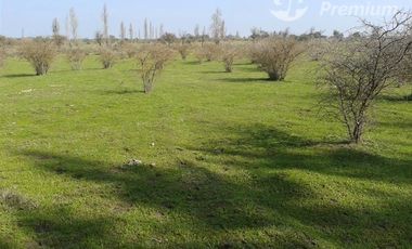 Parcela en Venta en el bonito sector 4 esquinas