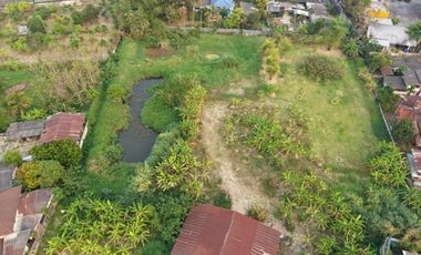 Land for sale in Rim Tai, Chiang Mai