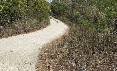 Rancho en venta Tizimin, Yucatán.
