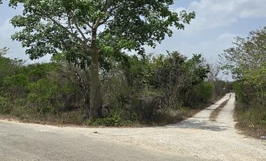 Rancho en venta Tizimin, Yucatán.