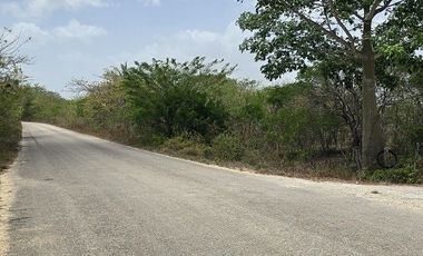 Rancho en venta Tizimin, Yucatán.