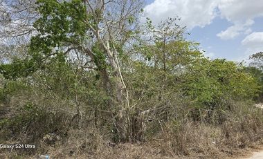 Rancho en venta Tizimin, Yucatán.