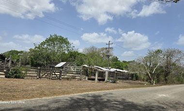 Rancho en venta Tizimin, Yucatán.