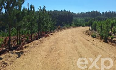 Sitio en Venta en Venta sitio 5000m2 Alto Colorado Pichilemu