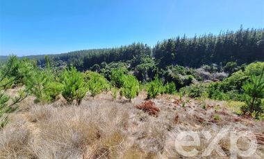 Sitio en Venta en Venta sitio 5000m2 Alto Colorado Pichilemu