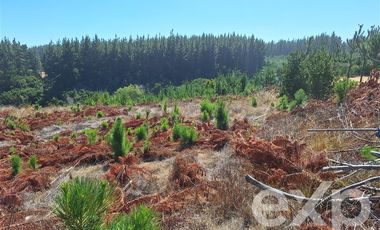 Sitio en Venta en Venta sitio 5000m2 Alto Colorado Pichilemu
