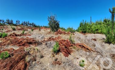 Sitio en Venta en Venta sitio 5000m2 Alto Colorado Pichilemu