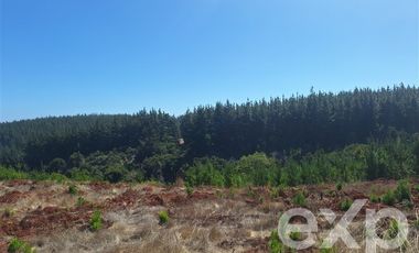 Parcela en Venta en Venta sitio 5000m2 Alto Colorado Pichilemu