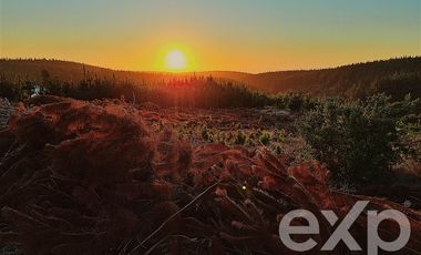 Parcela en Venta en Venta sitio 5000m2 Alto Colorado Pichilemu
