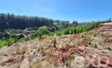 Parcela en Venta en Venta sitio 5000m2 Alto Colorado Pichilemu