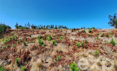 Parcela en Venta en Venta sitio 5000m2 Alto Colorado Pichilemu