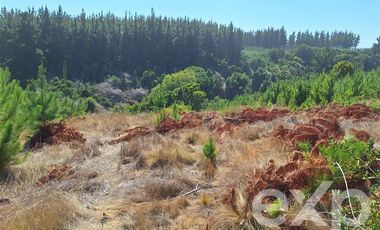 Terreno Construccion en Venta en Venta sitio 5000m2 Alto Colorado Pichilemu