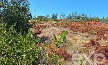 Terreno Construccion en Venta en Venta sitio 5000m2 Alto Colorado Pichilemu