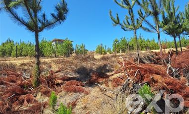 Terreno Construccion en Venta en Venta sitio 5000m2 Alto Colorado Pichilemu
