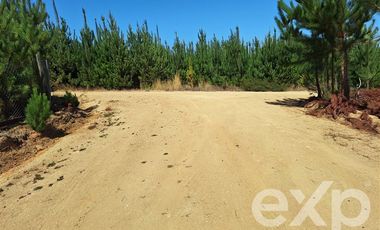 Terreno Construccion en Venta en Venta sitio 5000m2 Alto Colorado Pichilemu
