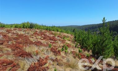 Terreno Construccion en Venta en Venta sitio 5000m2 Alto Colorado Pichilemu