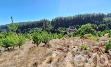 Terreno Construccion en Venta en Venta sitio 5000m2 Alto Colorado Pichilemu