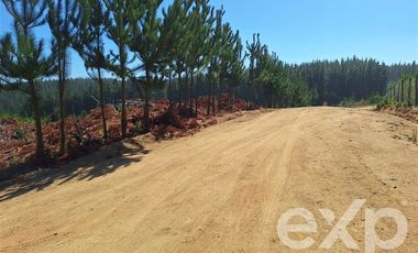 Terreno Construccion en Venta en Venta sitio 5000m2 Alto Colorado Pichilemu