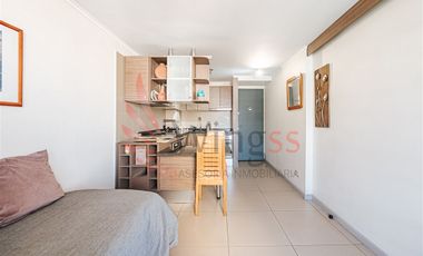 Moderno Departamento En Santiago