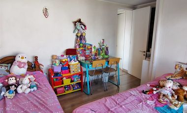 (earm) Comodisimo Departamento En Venta De 2 Dorm. Santiago