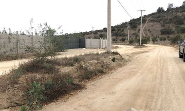 Sitio Industrial En Arriendo En Casablanca